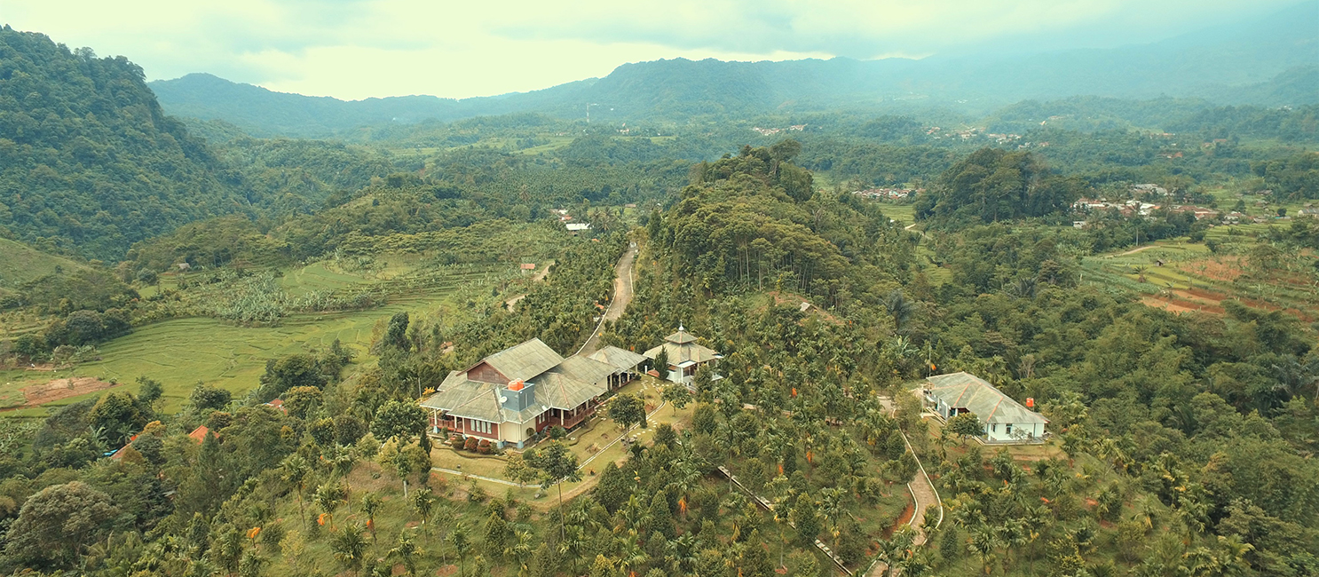 MBPlusAgro Plantation