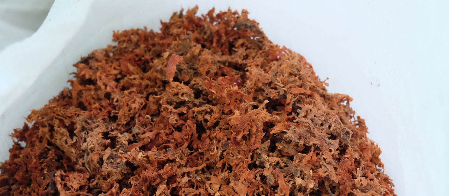 MBPlusAgro Facilities